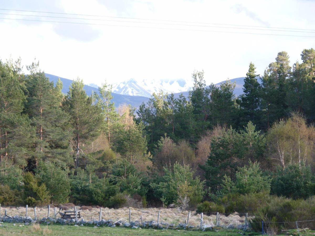 Tanleys B&B Grantown-on-Spey Dış mekan fotoğraf