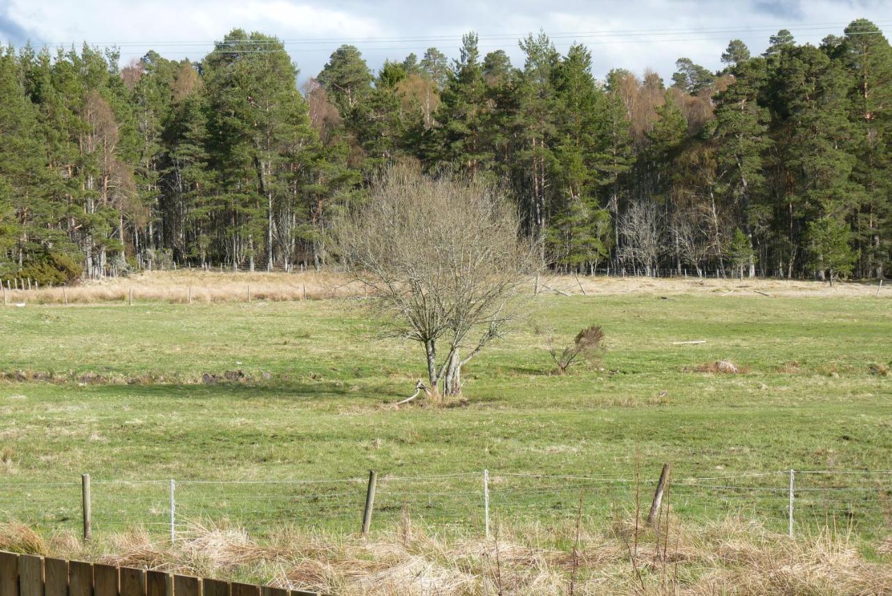 Tanleys B&B Grantown-on-Spey Dış mekan fotoğraf
