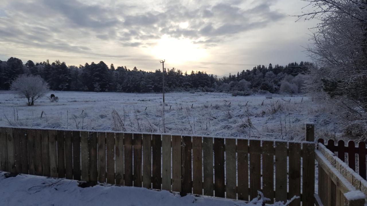 Tanleys B&B Grantown-on-Spey Dış mekan fotoğraf