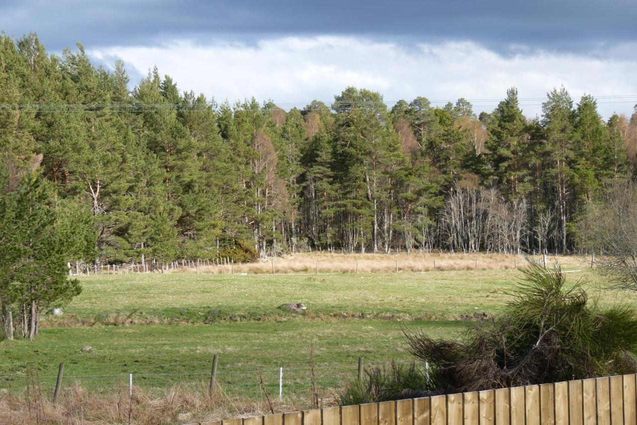 Tanleys B&B Grantown-on-Spey Dış mekan fotoğraf